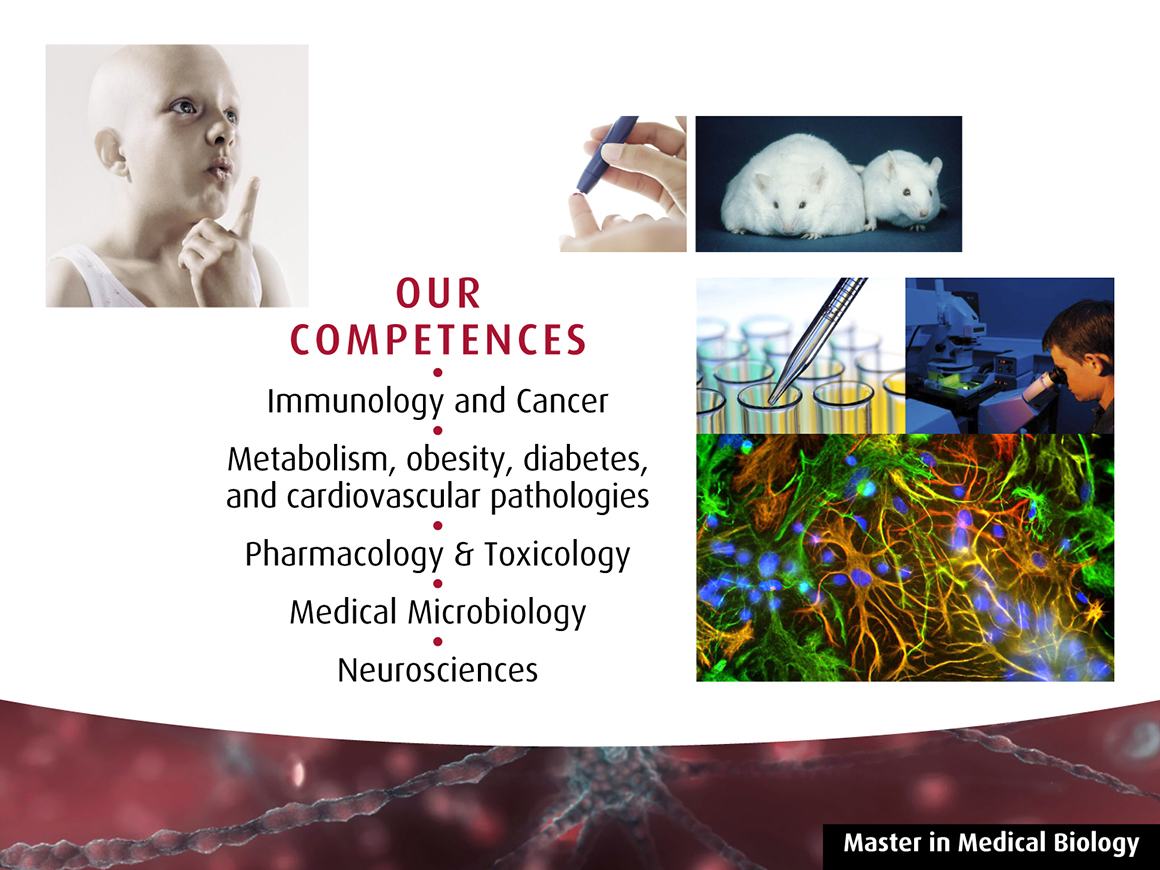 présentation slideshow immunologie et cancer